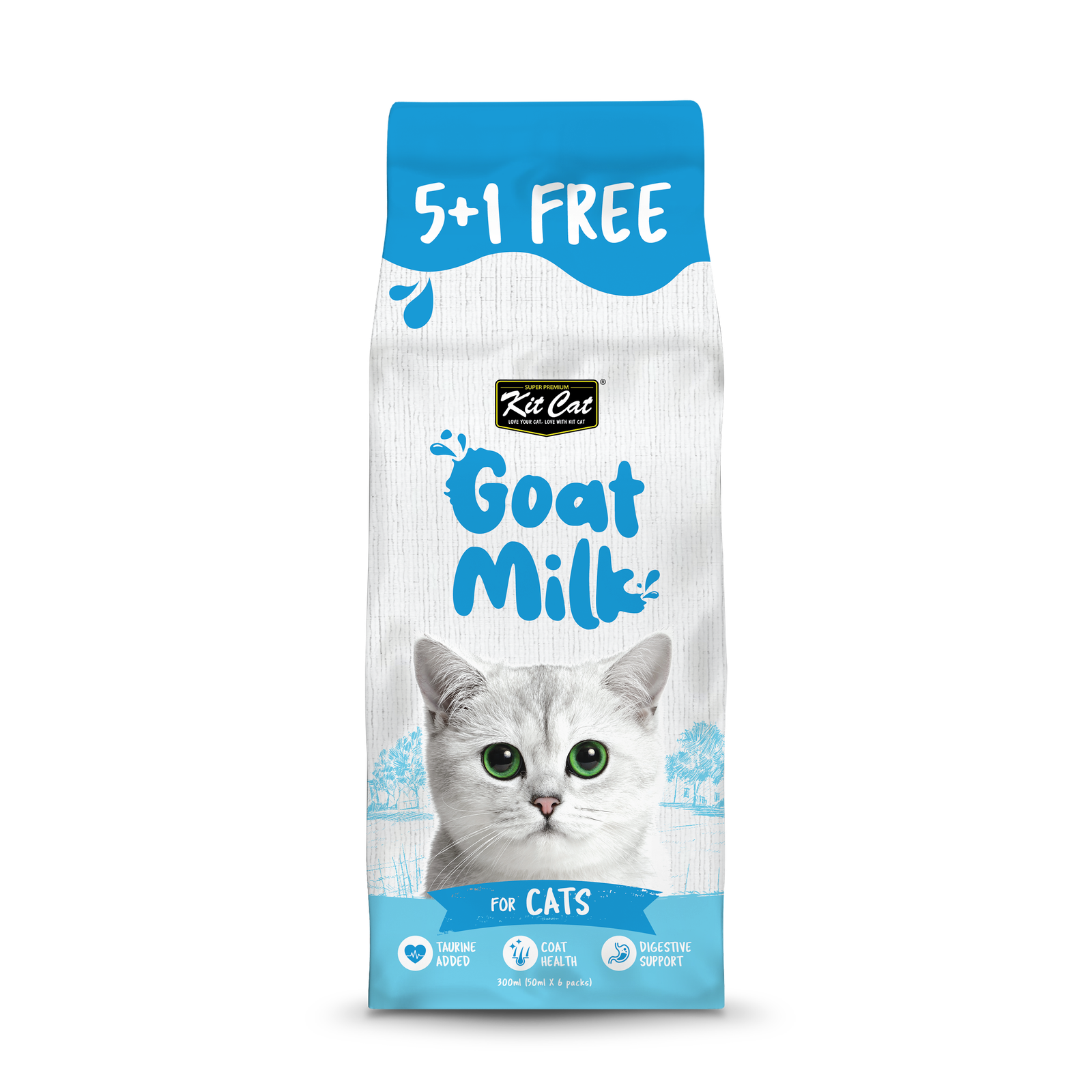CAT_OUTER PACKET FRONT copy.png